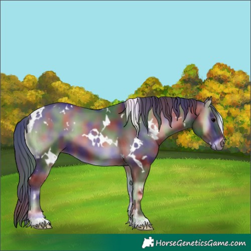 Horse Color:Nacre White Spotted Blue Onyx 