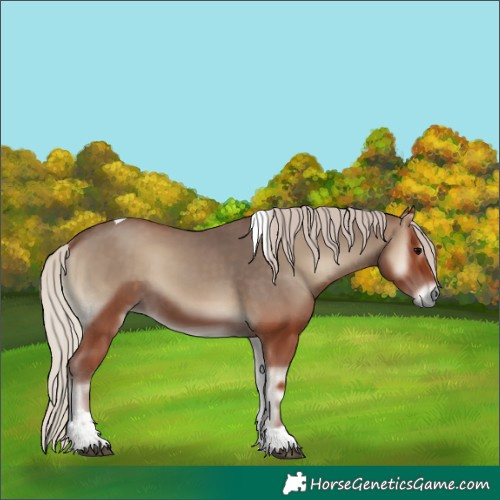 Horse Color:Silver Blue Onyx Tobiano 