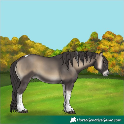 Horse Color:Smoky Blue Onyx Tobiano 