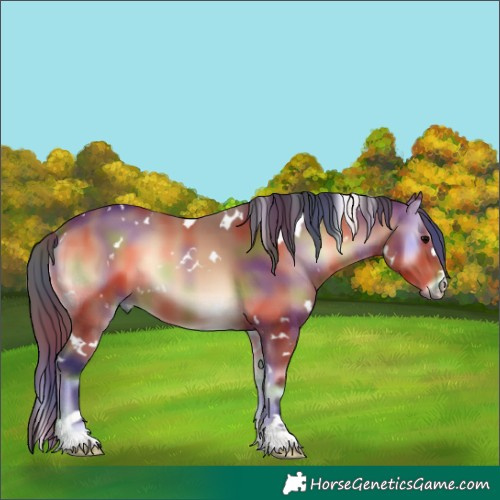 Horse Color:Nacre White Spotted Bay Onyx 