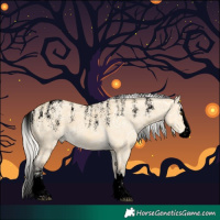 Horse Color:Powder White Void Silver Buckskin Ice Dun Splash Rabicano