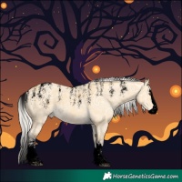 Horse Color:Powder White Void Silver Buckskin Ice Dun Splash Rabicano 