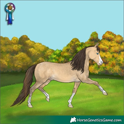 Horse Color:Sable Cream Champagne Dun