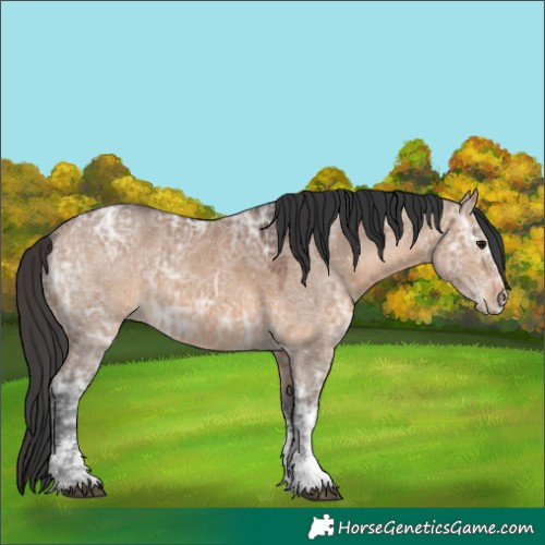Horse Color:White Spotted Brown Ice Dun Rabicano 