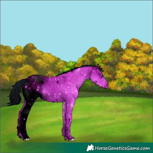 Horse Color:ERROR: UNKNOWN ANOMALY