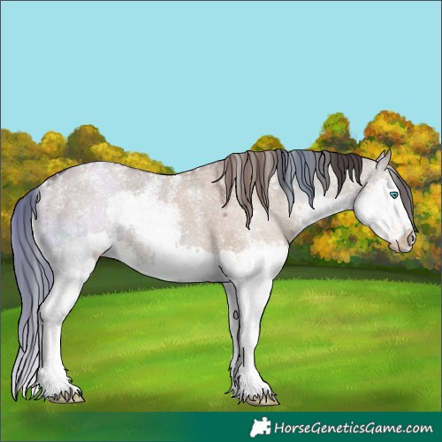 Horse Color:Powder White Liver Red Dun Splash Rabicano 