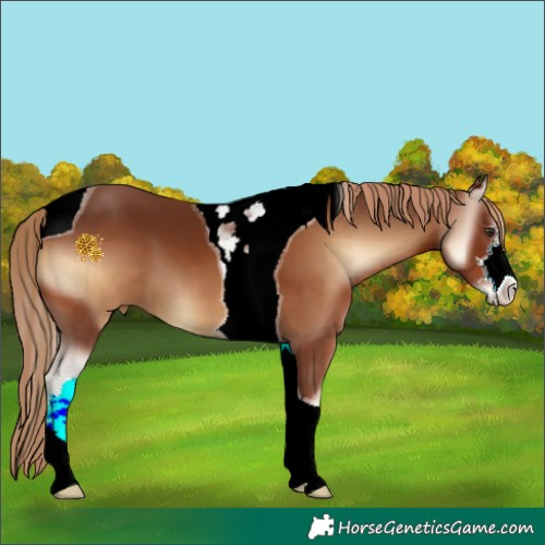 Horse Color:ERROR: UNKNOWN ANOMALY