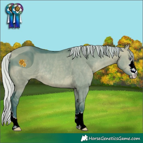 Horse Color:ERROR: UNKNOWN ANOMALY