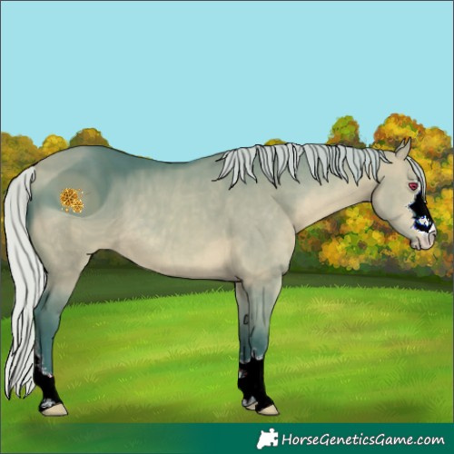 Horse Color:ERROR: UNKNOWN ANOMALY