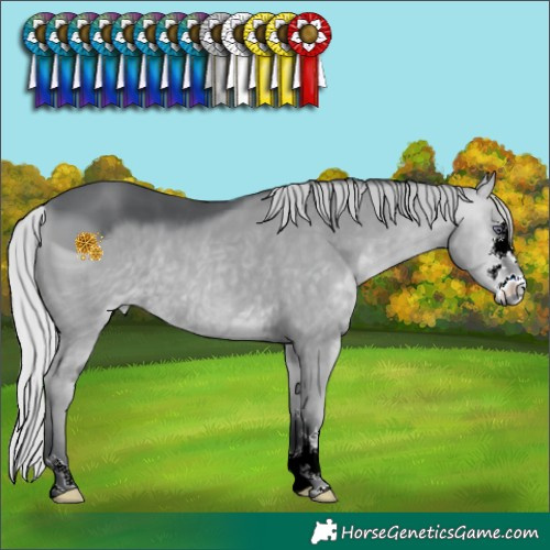Horse Color:ERROR: UNKNOWN ANOMALY