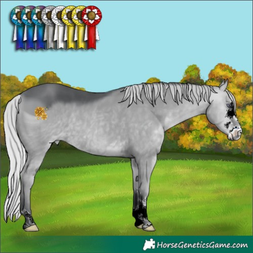 Horse Color:ERROR: UNKNOWN ANOMALY