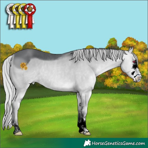 Horse Color:ERROR: UNKNOWN ANOMALY