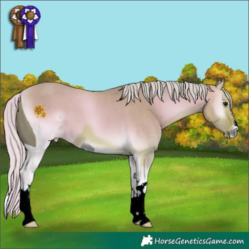 Horse Color:ERROR: UNKNOWN ANOMALY