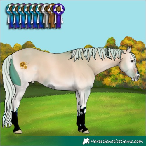 Horse Color:ERROR: UNKNOWN ANOMALY