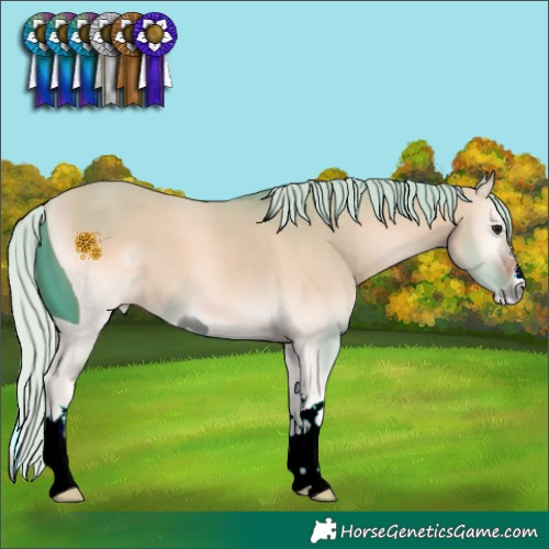 Horse Color:ERROR: UNKNOWN ANOMALY
