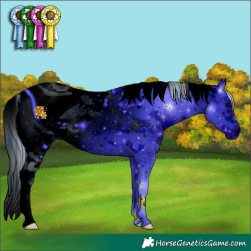 Horse Color:ERROR: UNKNOWN ANOMALY