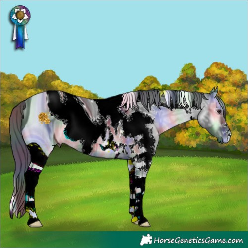 Horse Color:ERROR: UNKNOWN ANOMALY