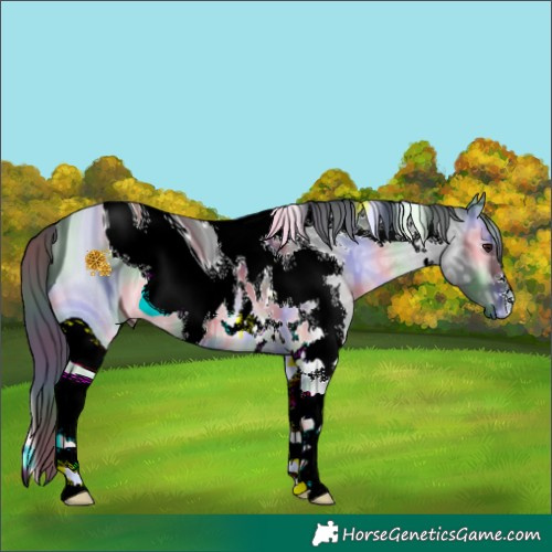 Horse Color:ERROR: UNKNOWN ANOMALY