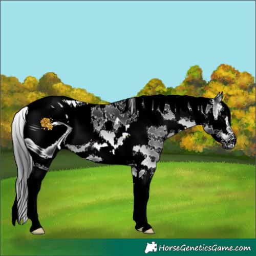 Horse Color:ERROR: UNKNOWN ANOMALY