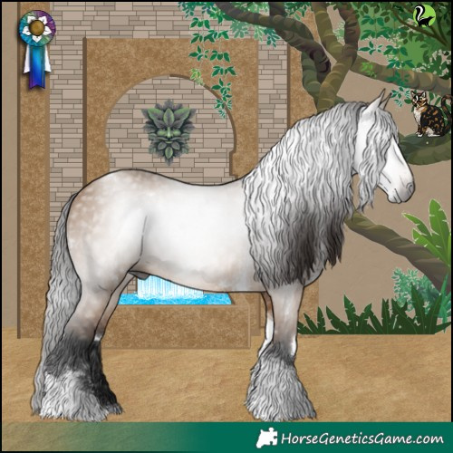 Horse Color:Gray White Spotted Bay Dun Tobiano Rabicano 