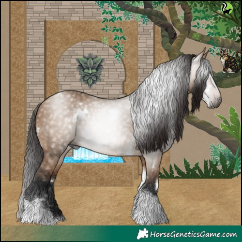 Horse Color:Gray White Spotted Bay Dun Tobiano Rabicano 