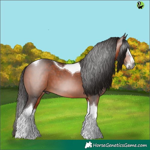 Horse Color:Gray Bay Splash Tobiano 