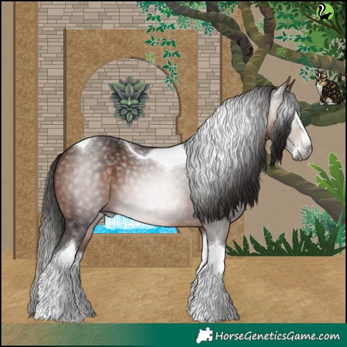 Horse Color:Gray Bay Splash Tobiano 
