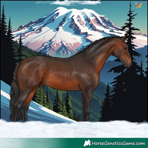 Horse Color:Brown Sabino 