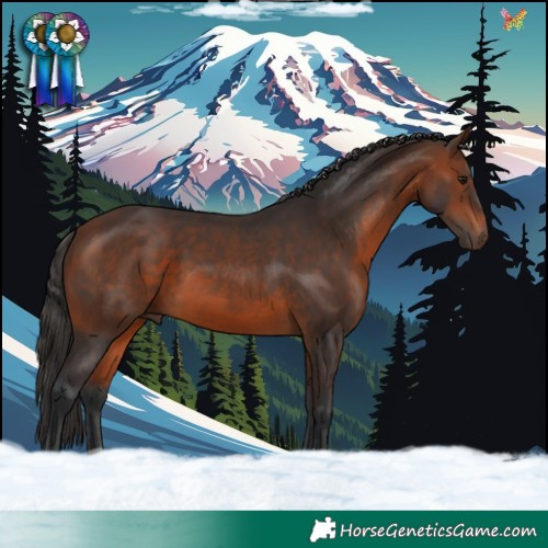 Horse Color:Brown Sabino 