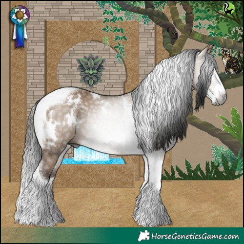 Horse Color:Gray White Spotted Bay Dun Splash Tobiano Rabicano 