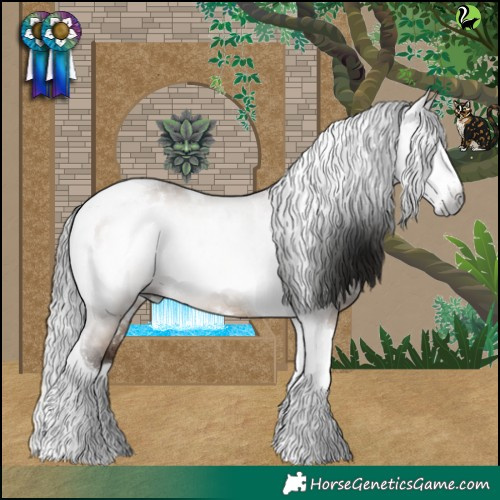 Horse Color:Gray White Spotted Bay Dun Splash Tobiano Rabicano 