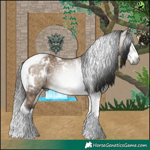 Horse Color:Gray White Spotted Bay Dun Splash Tobiano Rabicano 