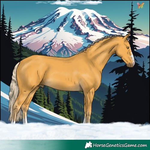 Horse Color:Palomino 