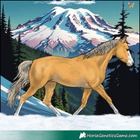 Horse Color:Palomino
