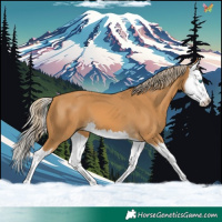 Horse Color:Palomino Splash 