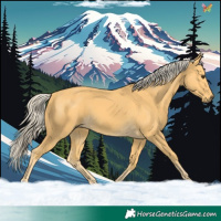 Horse Color:Palomino 