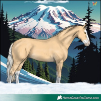 Horse Color:Palomino Splash 