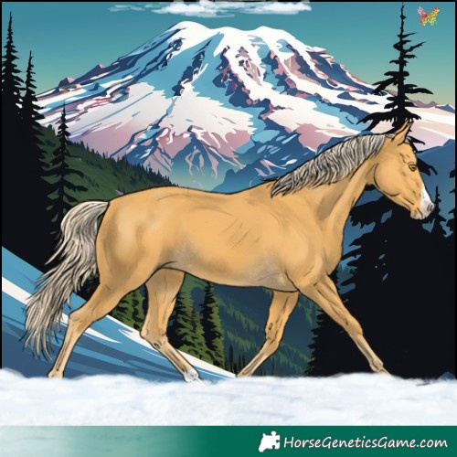 Horse Color:Palomino Splash 