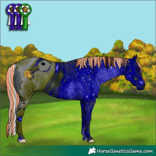 Horse Color:ERROR: UNKNOWN ANOMALY