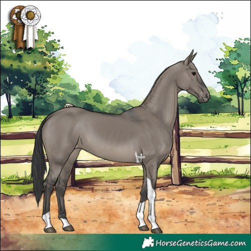 Horse Color:Grullo Tobiano Appaloosa Rabicano 