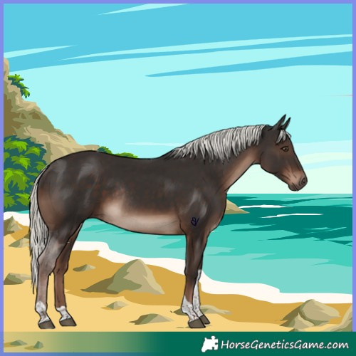 Horse Color:Liver Chestnut Mushroom Tobiano Rabicano 