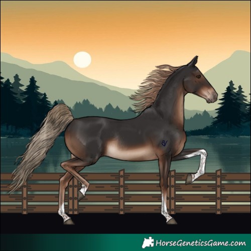 Horse Color:Liver Chestnut Tobiano Rabicano 