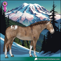 Horse Color:Gray Red Dun Splash Tobiano Varnish Brindle 