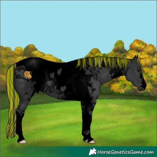 Horse Color:ERROR: UNKNOWN ANOMALY