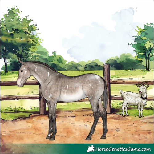 Horse Color:White Spotted Brown Dun Mushroom Appaloosa Rabicano Brindle 