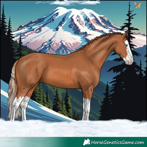 Horse Color:Chestnut Splash 