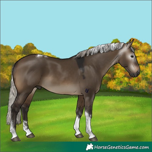 Horse Color:Gray Silver Brown Dun Tobiano 