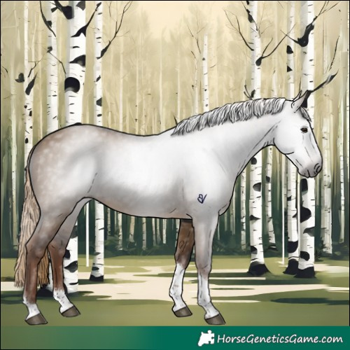 Horse Color:Gray Liver Red Dun Tobiano 