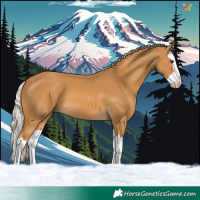 Horse Color:Palomino Splash