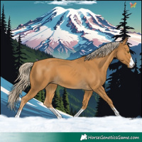 Horse Color:Palomino 